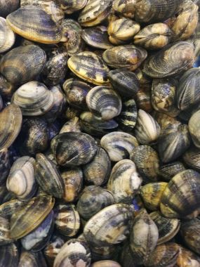 İstiridye balık pazarında