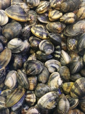 İstiridye balık pazarında