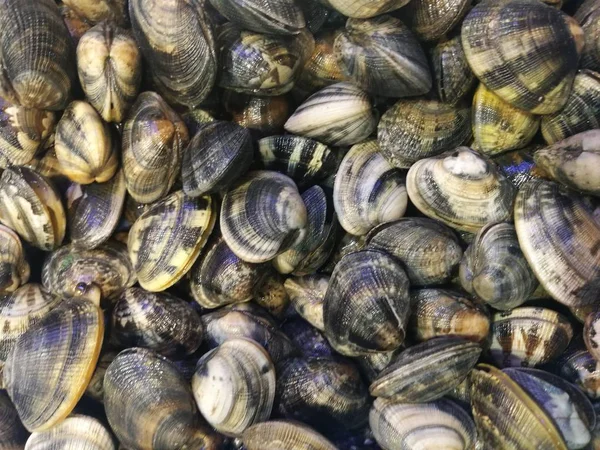 İstiridye balık pazarında