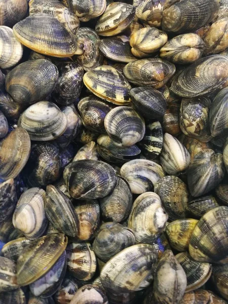 İstiridye balık pazarında