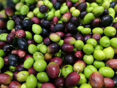 Zeytin bir piyasa ahır üzerinde