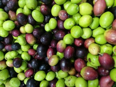 Zeytin bir piyasa ahır üzerinde