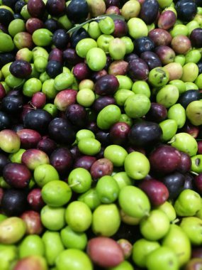 Zeytin bir piyasa ahır üzerinde