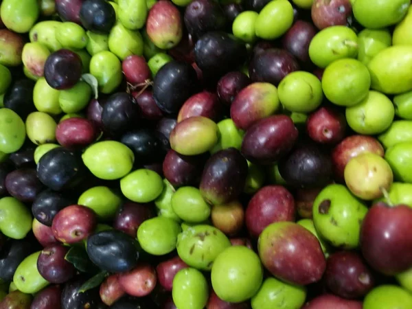 Zeytin bir piyasa ahır üzerinde