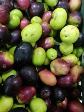 Zeytin bir piyasa ahır üzerinde