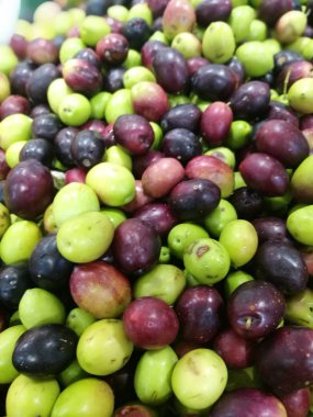 Zeytin bir piyasa ahır üzerinde