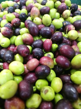 Zeytin bir piyasa ahır üzerinde