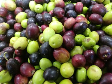 Zeytin bir piyasa ahır üzerinde