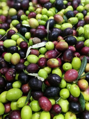 Zeytin bir piyasa ahır üzerinde