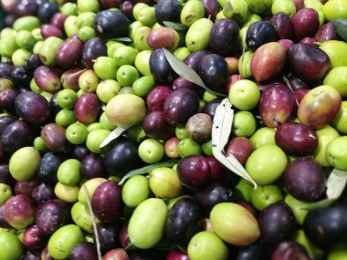 Zeytin bir piyasa ahır üzerinde