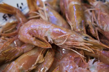 Balık pazarında karides