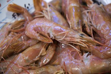 Balık pazarında karides