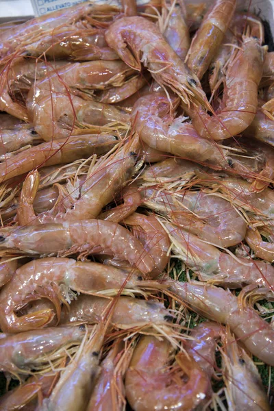 Camarão no mercado de peixe — Fotografia de Stock