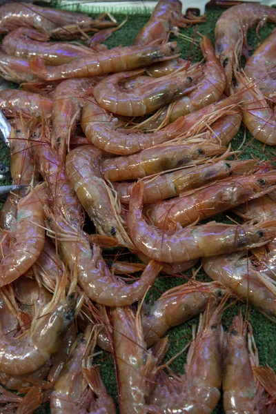 Mercado diário de peixe em Roma — Fotografia de Stock