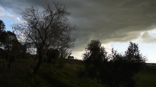 Park Van Aquaducten Bij Zonsondergang Rome — Stockvideo