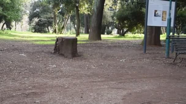 Villa Borghese Park Rzymie — Wideo stockowe