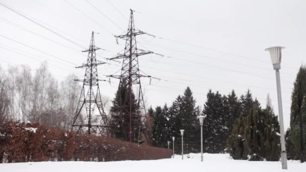 Дві лінії електропередачі TRANSMISSION LINE в парку з ліхтарями Стоковий Відеоролик