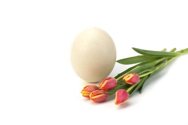 Paskalya arka plan Sarı laleler ahşap tablo, tavşan, yumurta, şeker iç içe