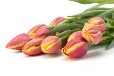 Paskalya arka plan Sarı laleler ahşap tablo, tavşan, yumurta, şeker iç içe