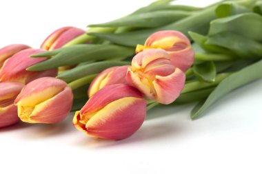 Paskalya arka plan Sarı laleler ahşap tablo, tavşan, yumurta, şeker iç içe