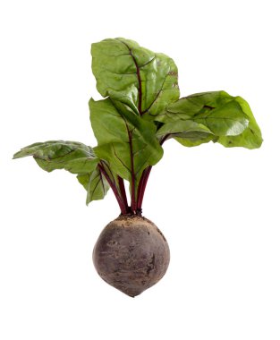 Pancar sebze Vejetaryen Gıda ahşap arka plan, vitaminler