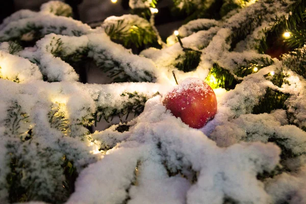 눈, 빛 및 애플 크리스마스 트리 — 스톡 사진