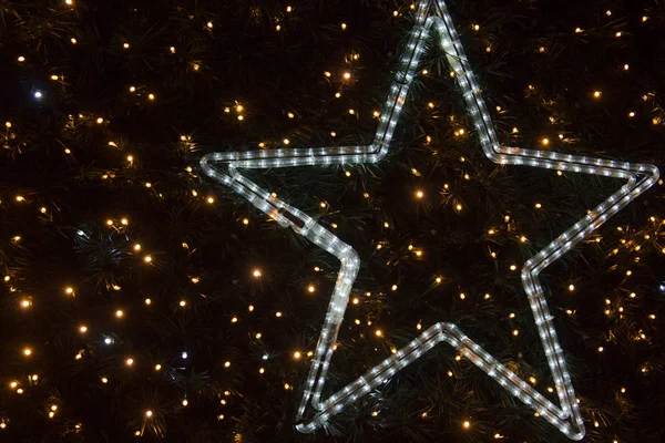 Árbol de Navidad decorado con una estrella brillante y luces brillantes — Foto de Stock
