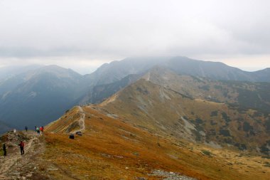 Uzun yürüyüşe çıkan kimse insanlar dağlarda yürüyüş