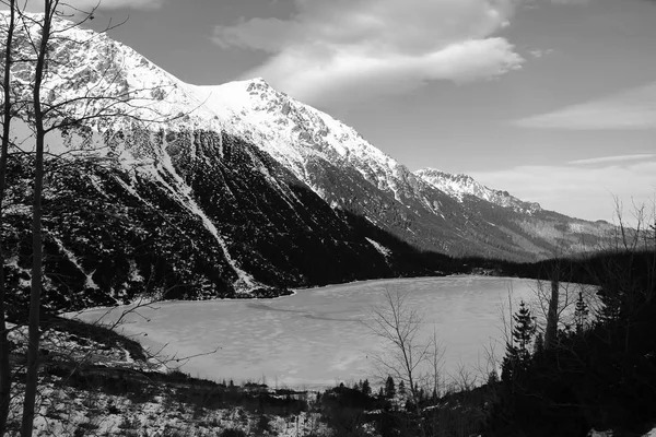 Panorama blanco y negro de las montañas de invierno. vista sobre lak congelado — Foto de Stock