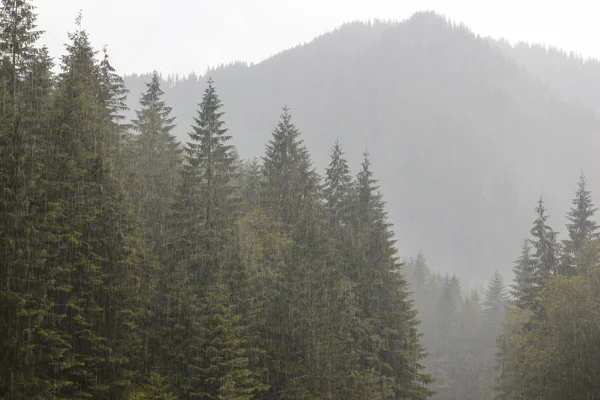 Paisaje del bosque y montañas con lluvia — Foto de Stock