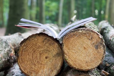 Kesilen ağaçlar, ağaçlar - Kaydet üzerinde açık bir kitap yatıyor e-kitap okumak