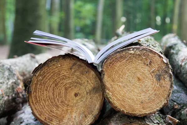 Een open boek ligt op de gekapte bomen, slaan de bomen - het lezen van e-boeken — Stockfoto