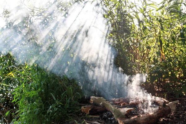 La carne se fríe en un bosque con humo —  Fotos de Stock