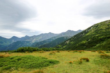 Polonya Tatra Dağları manzara