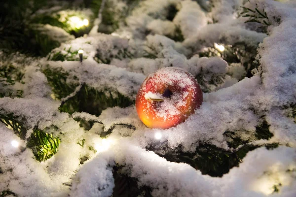 눈, 빛 및 애플 크리스마스 트리 — 스톡 사진