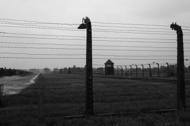 Konsantrasyon kampı Birkenau Polonya