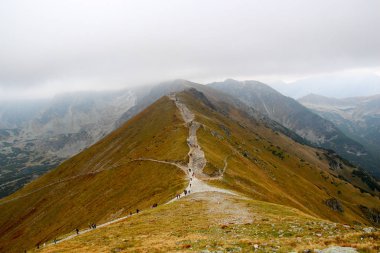 Uzun yürüyüşe çıkan kimse insanlar dağlarda yürüyüş