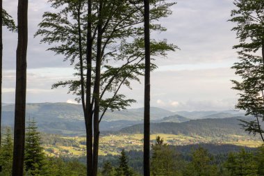 Polonya Tatra Dağları manzara