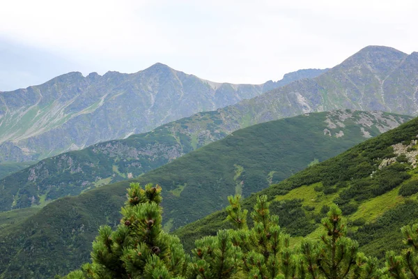 Bergen landschap Tatra Polen — Stockfoto