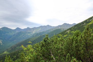 Polonya Tatra Dağları manzara