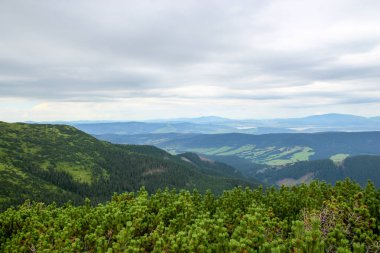Polonya Tatra Dağları manzara