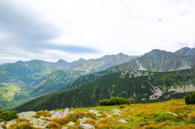 Polonya Tatra Dağları manzara