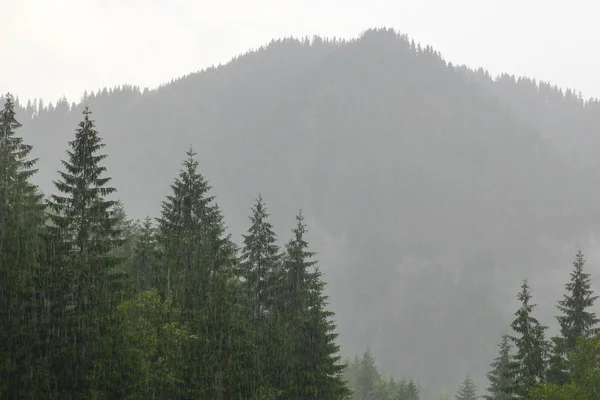 Landschaft des Waldes und der Berge mit Regen — Stockfoto