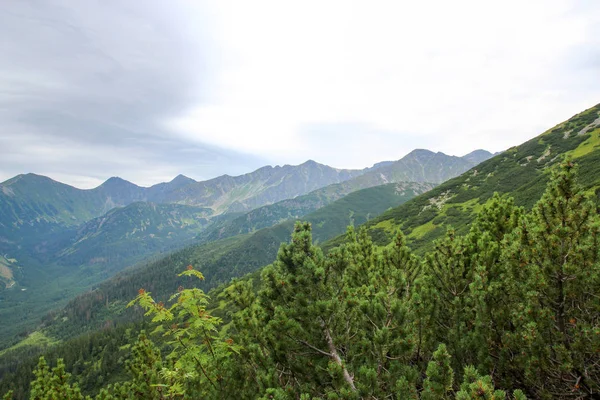 Polonya Tatra Dağları manzara