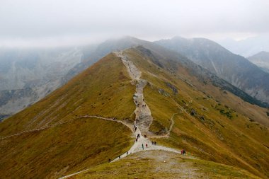 Uzun yürüyüşe çıkan kimse insanlar dağlarda yürüyüş