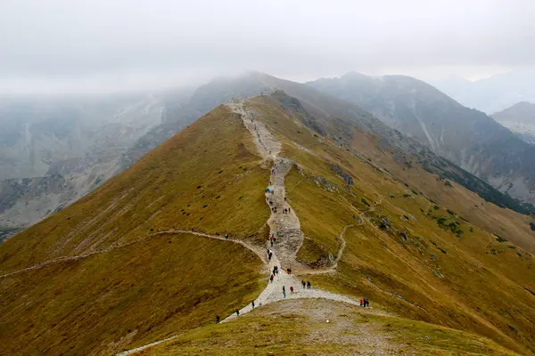 Uzun yürüyüşe çıkan kimse insanlar dağlarda yürüyüş