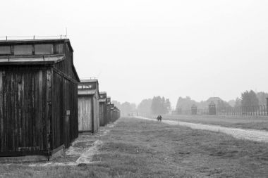 Toplama kampı Birkenau Oswiecim, Polonya 2016