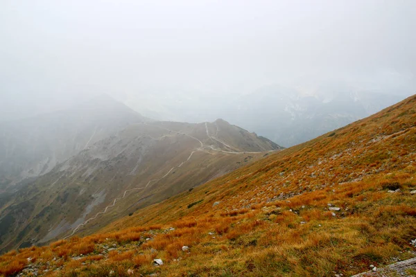 Rotsachtige berglandschap Slowakije Tatra — Stockfoto