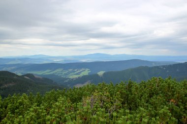 Polonya Tatra Dağları manzara 