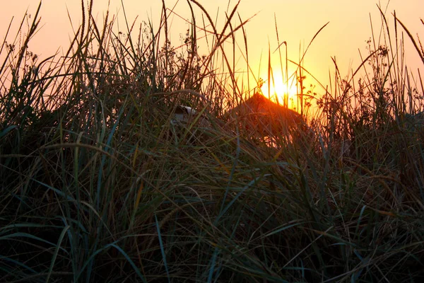 Uzun otların, bir ahşap gözlem kulesi aracılığıyla gün batımı